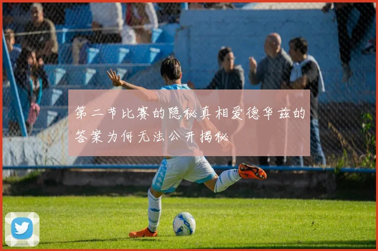 第二节比赛的隐秘真相爱德华兹的答案为何无法公开揭秘