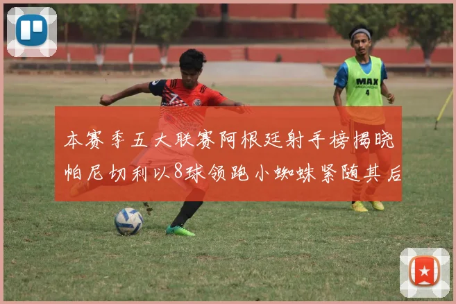 本赛季五大联赛阿根廷射手榜揭晓帕尼切利以8球领跑小蜘蛛紧随其后