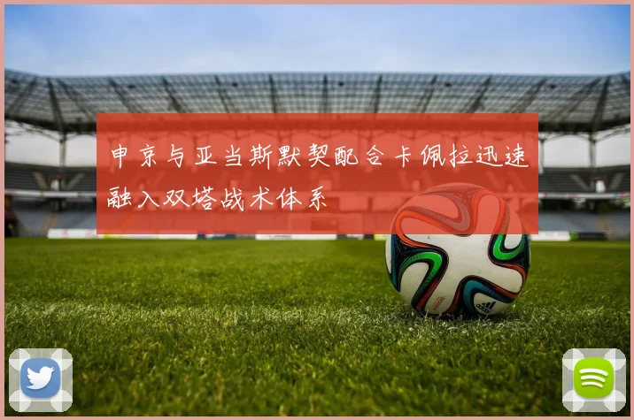 申京与亚当斯默契配合卡佩拉迅速融入双塔战术体系