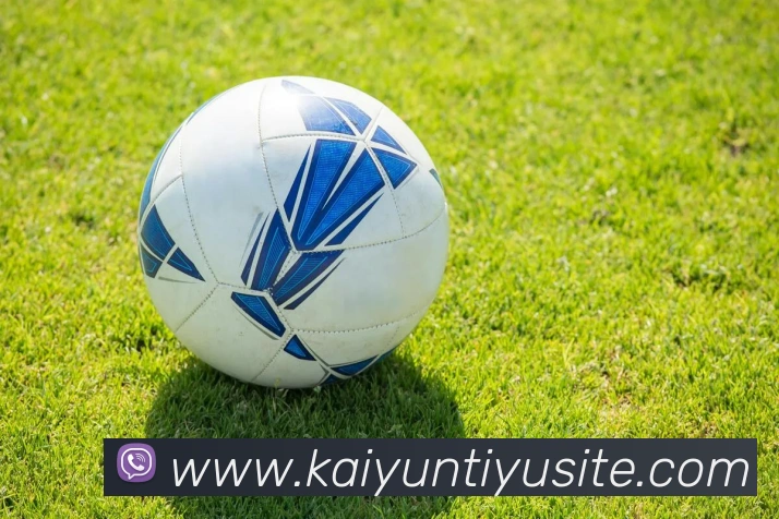 开云体育平台生态图